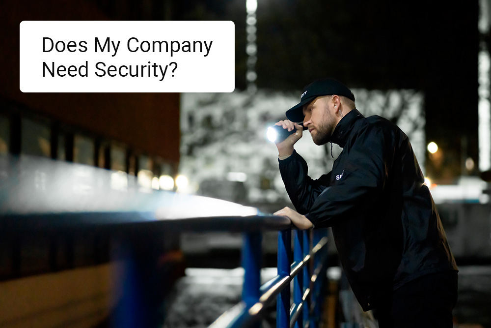 Maximizing-Security-ROI-The-Advantages-of-Partnering-with-a-Professional-Security-Services-Company-does-my-company-need-security