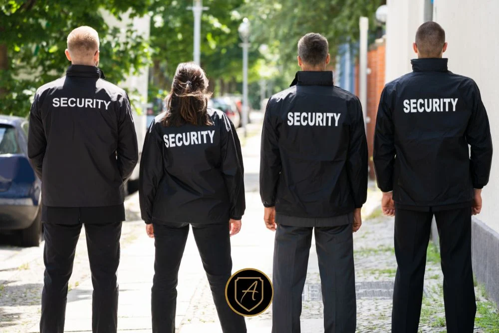 What Are Executive Protection Services